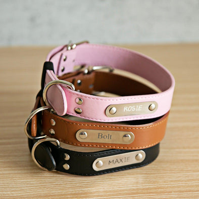 Personalized Leather Pet Collars -  - Qualtry